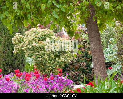 Jardin fleuri Banque D'Images