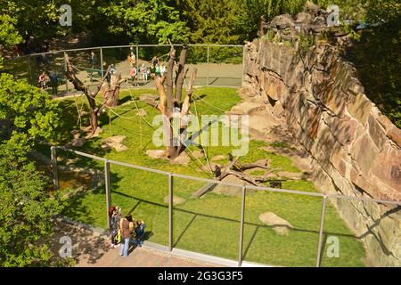 Vue de Bikinihouse Berlin City-West vers le zoo Banque D'Images