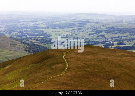 Sentier menant vers Winder dans le parc national de Yorkshire Dales, Angleterre. La colline offre une vue sur les champs environnants et la campagne. Banque D'Images