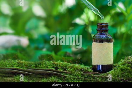 L'huile essentielle s'écoule de la pipette dans un flacon en verre sur fond vert flou. Banque D'Images