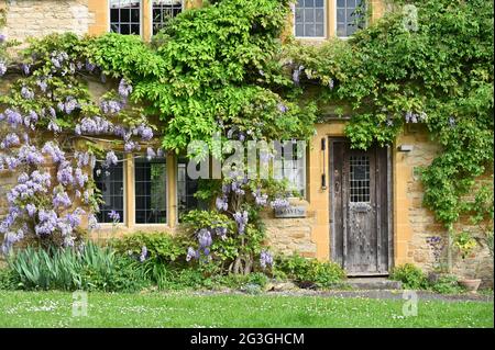 Wisteria en fleur poussant sur le mur extérieur de Stayts, une maison dans le nord du village d'Oxfordshire de Kingham Banque D'Images