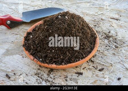 Empotage de l'échantillon de sol sur un plat en terre cuite avec une pelle manuelle Banque D'Images