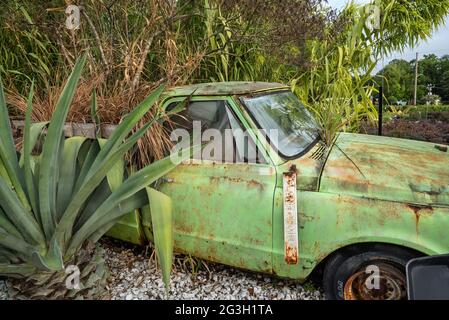 La pépinière Green House est la « Plant Disneyland » selon son propriétaire qui a rempli les 19 hectares de jardin et de pépinière de fantaisie et de drôle Banque D'Images