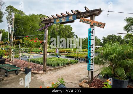 La pépinière Green House est la « Plant Disneyland » selon son propriétaire qui a rempli les 19 hectares de jardin et de pépinière de fantaisie et de drôle Banque D'Images