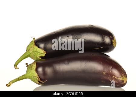 Plusieurs aubergines mûres de couleur bleu foncé, en gros plan, isolées sur du blanc. Banque D'Images