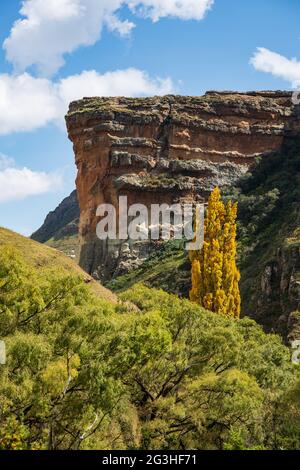 Les couleurs de l'automne dans le parc national de Golden Gate Highlands, Free State, Afrique du Sud Banque D'Images