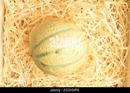 Un melon biologique mûr sur des copeaux de bois, vue rapprochée du dessus. Banque D'Images