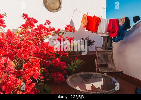 Bougainvillea rose fleurit sur un patio sur le toit à Cordoue, Espagne, dans un bel après-midi clair, tandis qu'un peu de linge est suspendu à sécher sur la ligne Banque D'Images