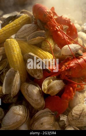 New England Lobster Clam Bake Banque D'Images