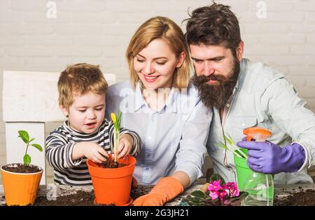 Mignon enfant garçon aide les parents à prendre soin des plantes. Bonne famille plantant des fleurs en pot. Concept de travail d'équipe et de collaboration familiale. Banque D'Images