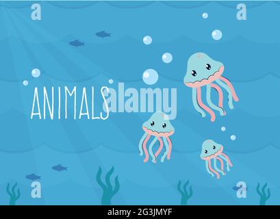 affiche de texte pour les pieuvres et les animaux Illustration de Vecteur