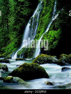 Boulder Creek Falls Comté de Snohomish à l'ouest de Darrington, État de Washington Banque D'Images