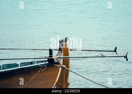 Belle photo d'un oiseau indien cormorant/pélican assis sur un bateau avec la mer en arrière-plan Banque D'Images