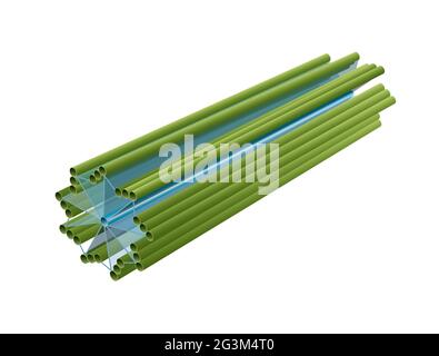 Centrioles dans la cellule eucaryote. Structure Banque D'Images