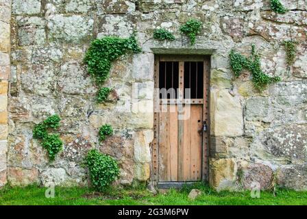 Ancienne porte en bois dans un mur de pierre patiné, château de Chilingham, Northumberland, Royaume-Uni Banque D'Images