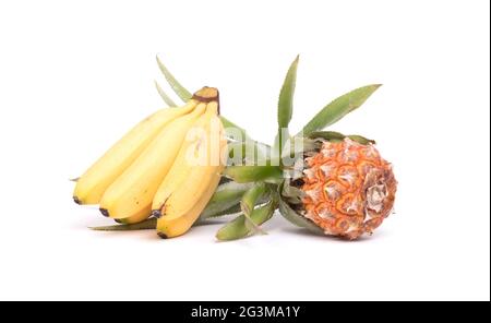 Petit groupe de bananes tropicales avec bébé ananas Banque D'Images