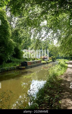 Vie au canal sur le canal Kennet & Avon, entre Bath et Bradford upon Avon, sud-ouest de l'Angleterre, Royaume-Uni Banque D'Images