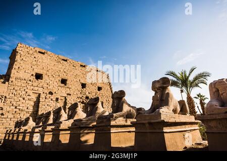 Avenue de Sphinxes dans le temple de Karnak à Louxor, temple d'Égypte de hatshepsut Temple d'Égypte de Toutankhamon Louxor Tempel Temple de Karnak Louxor, Karnak, par exemple Banque D'Images