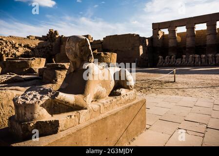 Avenue de Sphinxes dans le temple de Karnak à Louxor, temple d'Égypte de hatshepsut Temple d'Égypte de Toutankhamon Louxor Tempel Temple de Karnak Louxor, Karnak, par exemple Banque D'Images