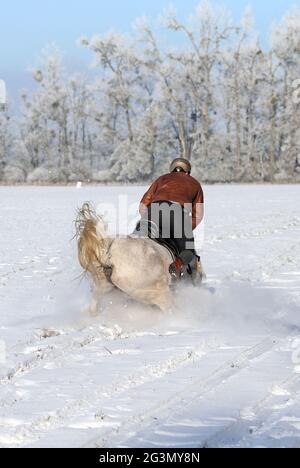 '14.02.2021, Altlandsberg, Brandebourg, Allemagne - le cheval et le cavalier tombent lors d'un trajet sur un terrain enneigé. 00S210214D946CAROEX.JPG [VERSION DU MODÈLE Banque D'Images
