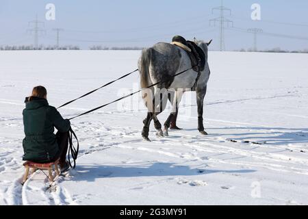 '14.02.2021, Bruchmuehle, Brandebourg, Allemagne - jeune femme assise sur un traîneau tirée par un cheval à cheval. 00S210214D857CAROEX.JPG [MODÈLE RELEA Banque D'Images