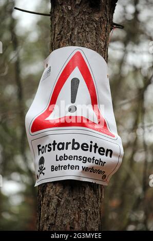 '13.03.2021, Zehdenick, Brandebourg, Allemagne - Avis dans la forêt: Travaux forestiers danger pour la vie pas d'intrusion. 00S210313D1227CAROEX.JPG [MODÈLE RELE Banque D'Images