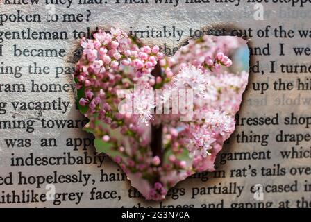 Vu à travers les fleurs en forme de coeur Banque D'Images