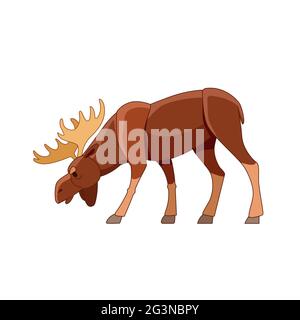 L'orignal de taureau paître dans la forêt sauvage. Scène sauvage avec élan. Illustration plate vectorielle de personnage de dessin animé isolée sur fond blanc Illustration de Vecteur