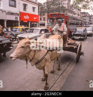 MUMBAI, INDE - Man Rides car ox dans la circulation sur la rue animée. Banque D'Images