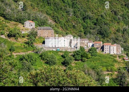 Hameau de montagne dans la région de Castagniccia. Corse, France Banque D'Images