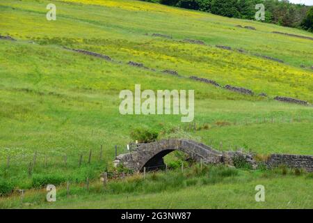 Pont Strines, pont Jack, Colden Water, Pennines, West Yorkshire Banque D'Images