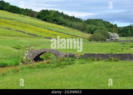 Pont Strines, pont Jack, Colden Water, Pennines, West Yorkshire Banque D'Images