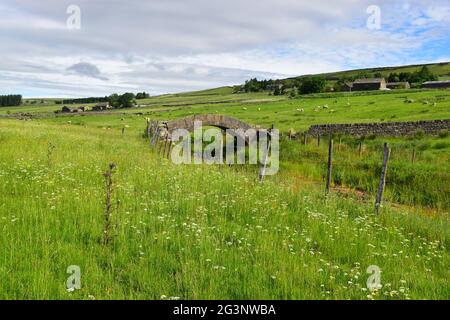 Pont Strines, pont Jack, Colden Water, Pennines, West Yorkshire Banque D'Images