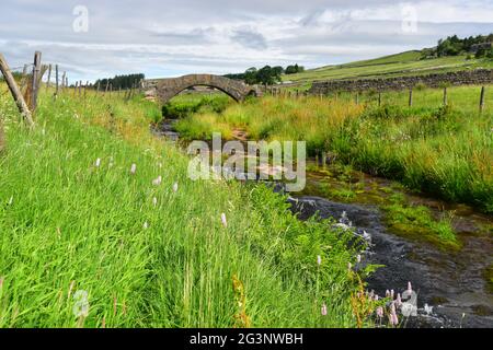 Pont Strines, pont Jack, Colden Water, Pennines, West Yorkshire Banque D'Images