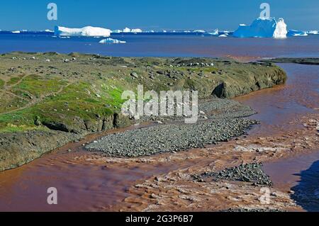 La rivière rouge sur l'île de Disko Banque D'Images