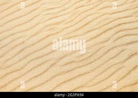 Fond de plage de sable. Texture de la nature, vue de dessus, espace de copie pour le texte Banque D'Images