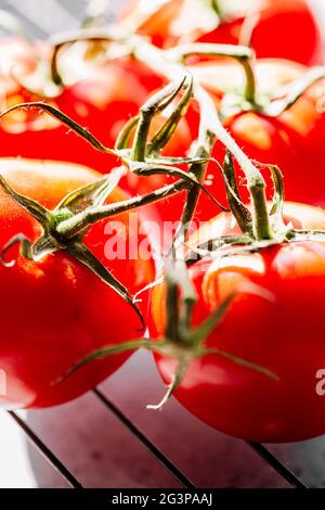 Tomates brillantes riches en rouge frais Banque D'Images