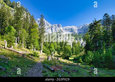 Vue sur les montagnes et la forêt dans le parc national autrichien de Gesäuse Banque D'Images