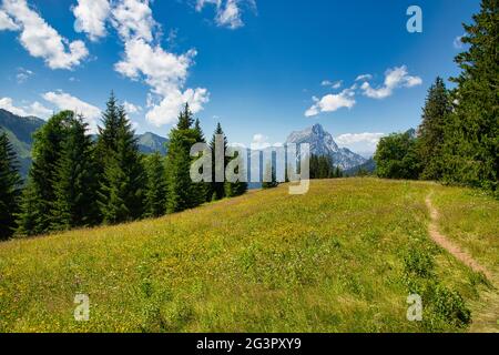 Panorama sur la montagne et la forêt dans le parc national de Gesäuse en Styrie, Autriche Banque D'Images