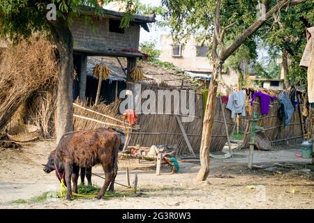 Varanasi/Inde-09.11.2018: La vie dans un petit village pauvre Banque D'Images