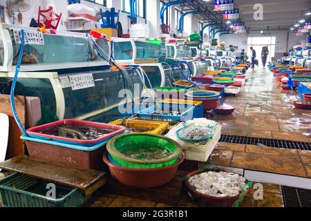 Séoul/Corée du Sud-30.09.2016 : à l'intérieur du marché du poisson en Corée du Sud Banque D'Images