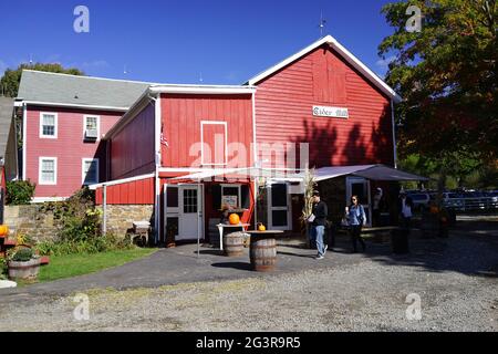 Hacklebarney Farm, Chester, New Jersey, États-Unis. Ferme saisonnière pour les pommes, les citrouilles, le maïs, c'est une ferme de “Pick Your Own” ou de PYO. Banque D'Images