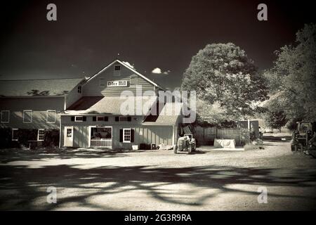 Hacklebarney Farm, Chester, New Jersey, États-Unis. Ferme saisonnière pour les pommes, les citrouilles, le maïs, c'est une ferme de “Pick Your Own” ou de PYO. Banque D'Images