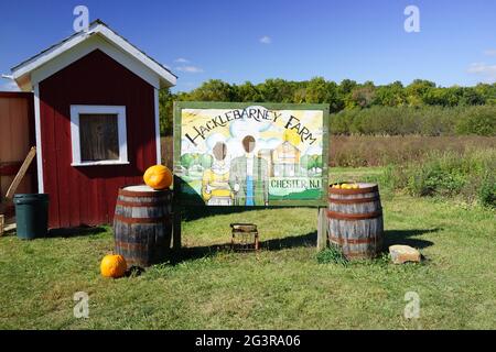 Un stand-in photo pour deux personnes pour vous faire ressembler à des fermiers gothiques américains.Hacklebarney Farm, Chester New Jersey, Etats-Unis. Ferme saisonnière Banque D'Images