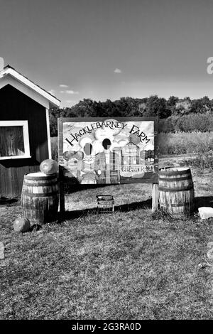 Hacklebarney Farm, Chester, New Jersey, États-Unis. Ferme saisonnière pour les pommes, les citrouilles, le maïs, c'est une ferme de “Pick Your Own” ou de PYO. Banque D'Images