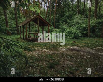 Coin salon couvert. Un belvédère en bois pour se détendre dans la forêt Banque D'Images