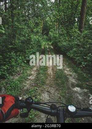 Vue d'un sentier surcultivé dans la forêt à travers les yeux d'un cycliste. Cyclisme, cycliste, découverte de la nature. Concepts Banque D'Images