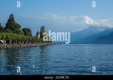 Belle vue sur les alpes suisses et le lac Léman depuis la petite ville de Vevey, Suisse Banque D'Images