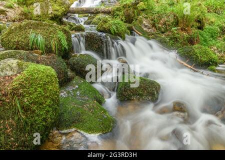 Torrent de montagne dans les Vosges. Cascade de Charlemagne sur la Vologne. Banque D'Images