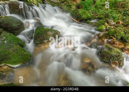 Torrent de montagne dans les Vosges. Cascade de Charlemagne sur la Vologne. Banque D'Images